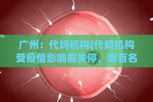 广州：代妈机构(代妈机构受疫情影响需关停，数百名婴幼儿家长产生退费困惑)