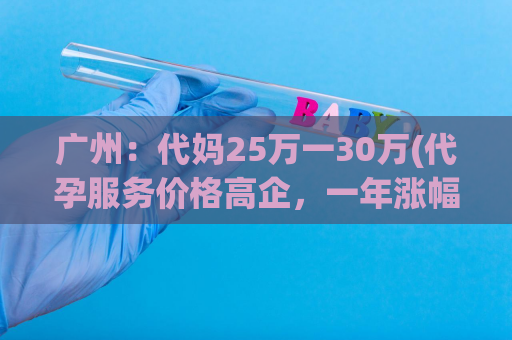 广州：代妈25万一30万(代孕服务价格高企，一年涨幅超过20%)