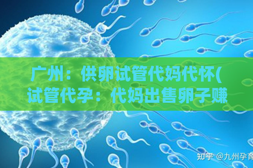 广州：供卵试管代妈代怀(试管代孕：代妈出售卵子赚钱，背后是什么？)